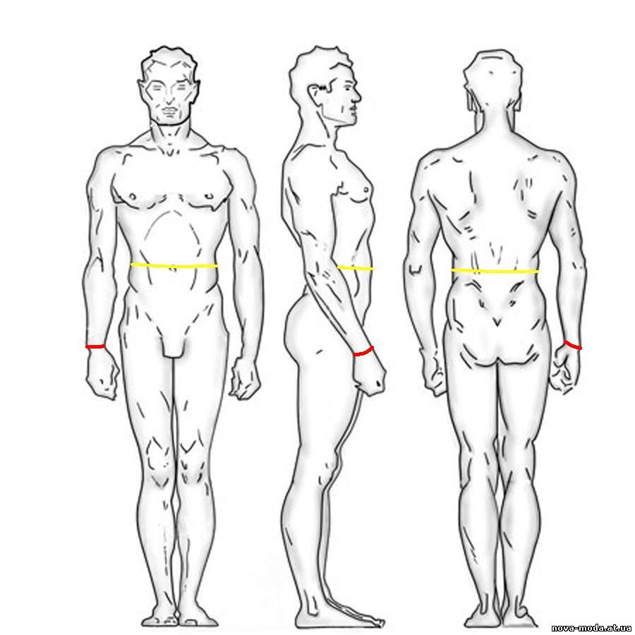 Схема мужских рисунков. Правильная мужская фигура. Мужская фигура пропорции. Мужская фигура сбоку. Проблемные зоны мужской фигуры.